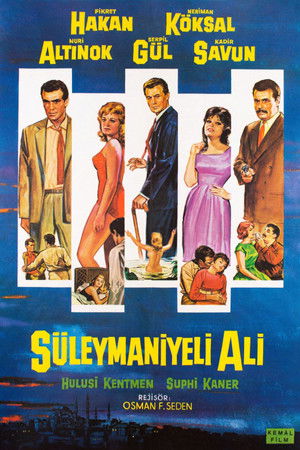 Süleymaniyeli Ali