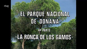 El hombre y la Tierra 2. évad Ep.66 66. epizód