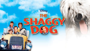 The Shaggy Dog háttérkép