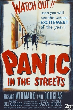 Panic in the Streets poszter