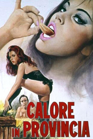 Calore in provincia poszter