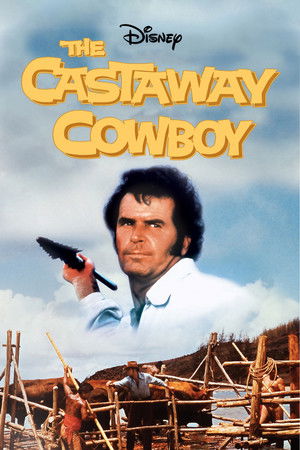 A partra vetett cowboy