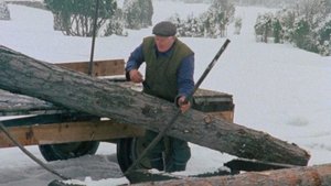 Fårödokument 1979 háttérkép