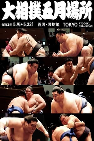 GRAND SUMO Highlights