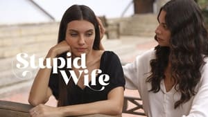 Stupid Wife 2. évad Ep.4 4. epizód