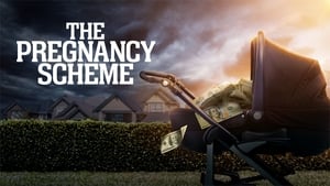 The Pregnancy Scheme háttérkép