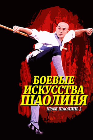 Shaolin harcművészete poszter