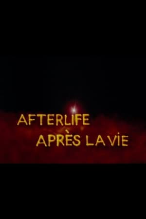 Afterlife poszter