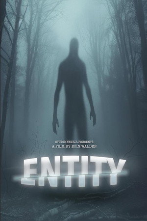 Entity poszter
