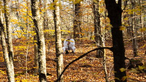 Le Chasseur de Randonneurs háttérkép
