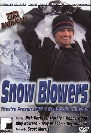 Snow Blowers