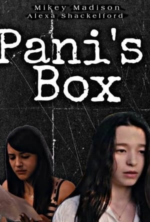 Pani's Box poszter