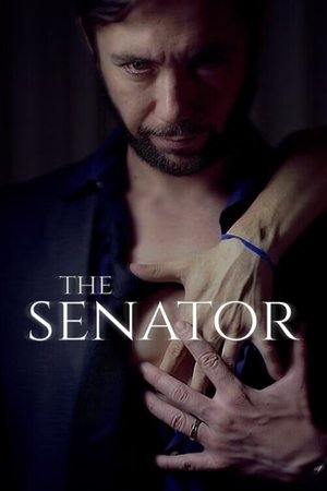 O Senador poszter