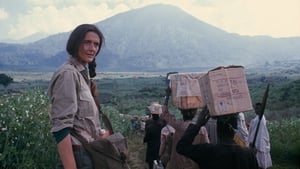 Dian Fossey: Secrets in the Mist kép