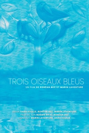 Trois oiseaux bleus poszter