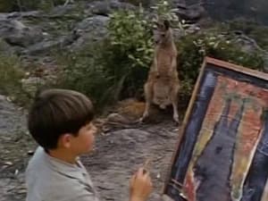 Skippy the Bush Kangaroo 1. évad Ep.15 15. epizód