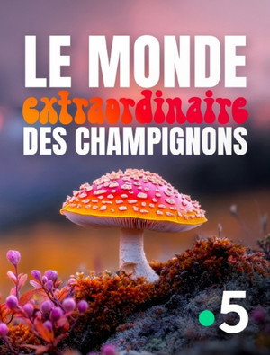 Le monde extraordinaire des champignons poszter