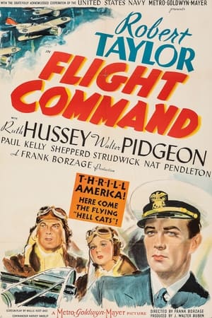 Flight Command poszter