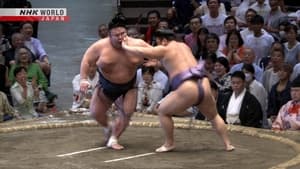 GRAND SUMO Highlights 19. évad Ep.8 8. epizód