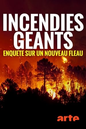 Incendies géants : enquête sur un nouveau fléau poszter