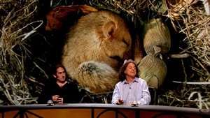 QI 9. évad Ep.18 18. epizód