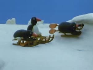 Pingu 1. évad Ep.11 11. epizód