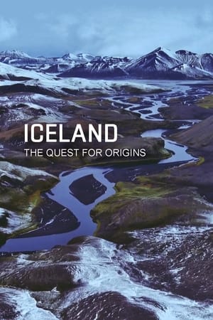 Islande, la quête des origines poszter