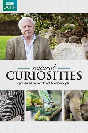 A természet furcsaságai David Attenborough-val poszter