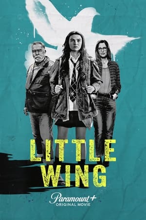 Little Wing poszter