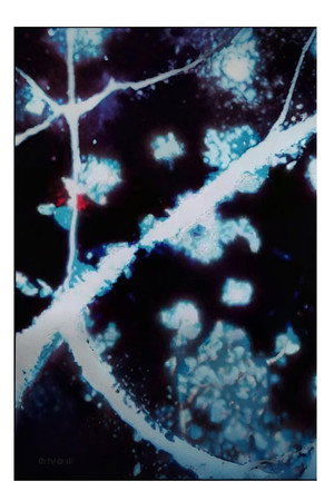 What The Water Said, Nos. 4-6 poszter