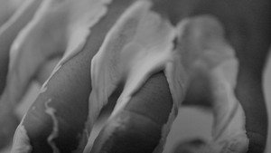 Ballet Biologic háttérkép