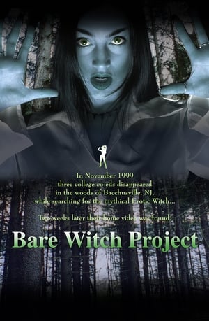 The Erotic Witch Project poszter