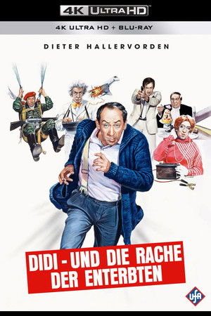 Didi und die Rache der Enterbten poszter