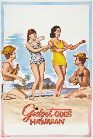 Gidget Goes Hawaiian poszter