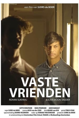 Vaste Vrienden