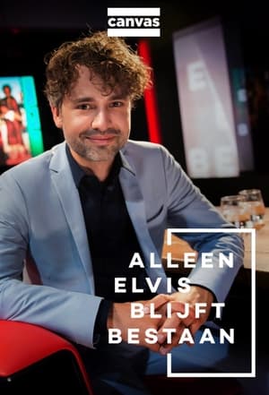 Alleen Elvis blijft bestaan poszter