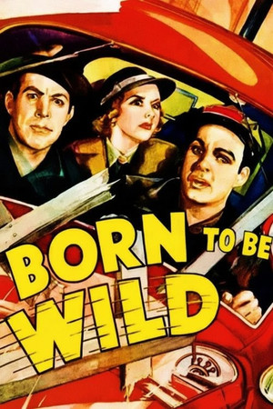 Born to Be Wild poszter
