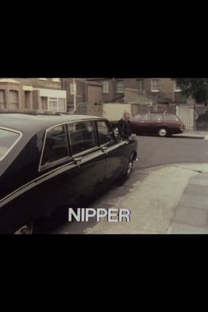 Nipper