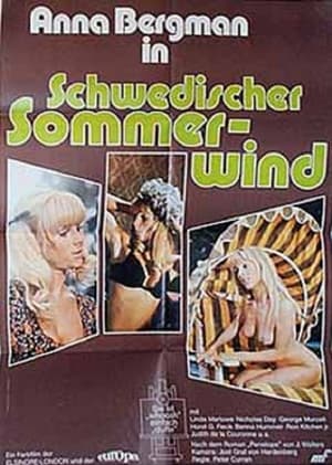 Schwedischer Sommerwind poszter