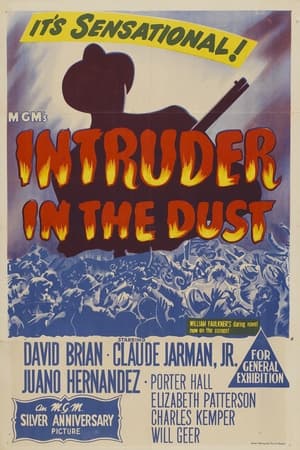 Intruder in the Dust poszter