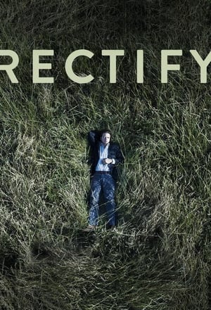 Rectify poszter