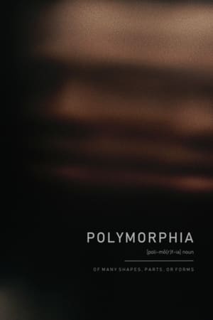 Polymorphia poszter