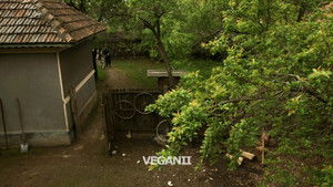 Las Fierbinţi Season 6 Ep.10 10. epizód