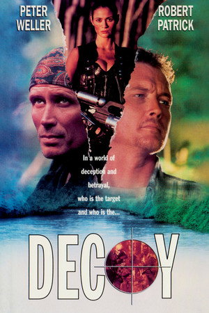 Decoy poszter