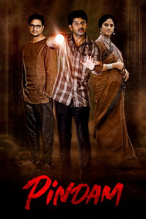 పిండం poszter
