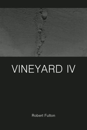 Vineyard IV poszter