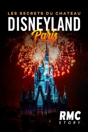 Disneyland Paris : Les Secrets du château poszter