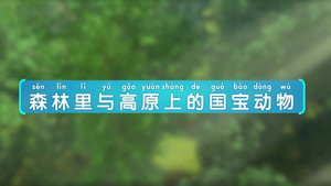 斑马百科MINI百科 3. évad Ep.5 5. epizód