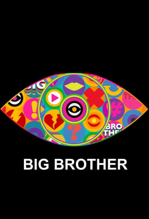 Big Brother poszter