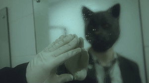 Cat Face háttérkép
